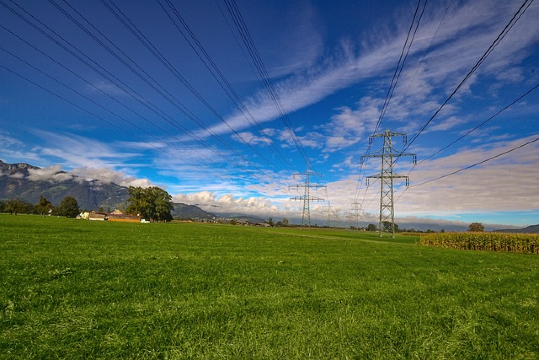 Landratsamt Nürnberger Land bremst Stromnetzbetreiber bei Höherauslastung
