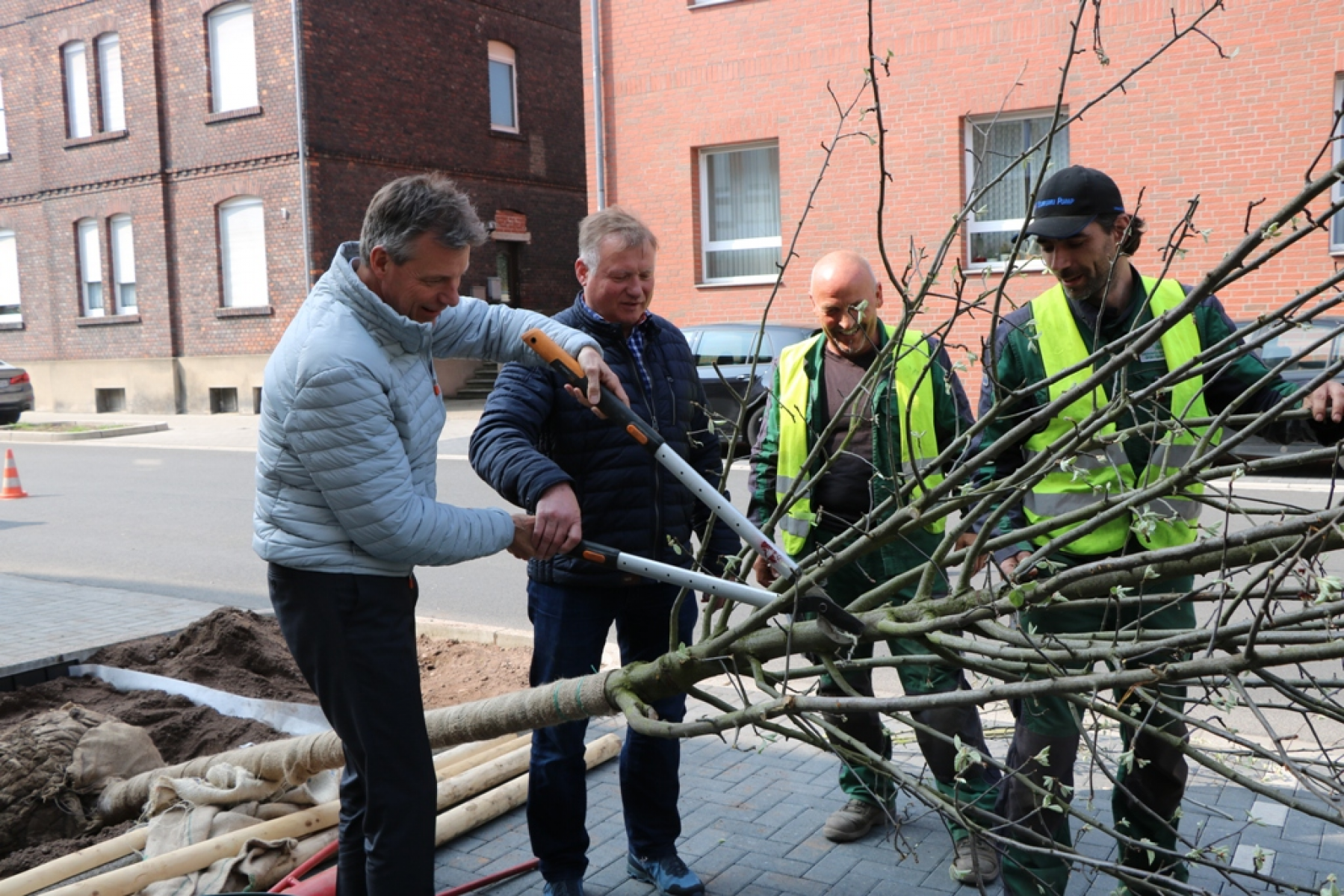 Frühjahrspflanzung: Mehr als 100 neue Bäume in Recklinghausen