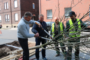 Frühjahrspflanzung: Mehr als 100 neue Bäume in Recklinghausen - Image