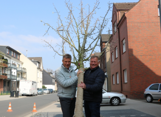 Frühjahrspflanzung: Mehr als 100 neue Bäume in Recklinghausen