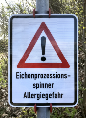 Eichenprozessionsspinner: Absaugen bisher beste Möglichkeit der Bekämpfung - Image