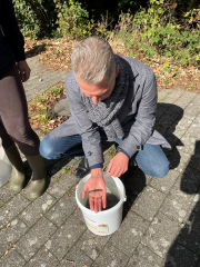 Für den Erhalt der Artenvielfalt tausende kleine Bachforellen in Minden ausgesetzt - Image