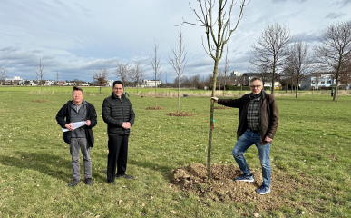 Erster Klimahain in Sankt Augustin fertiggestellt - Image