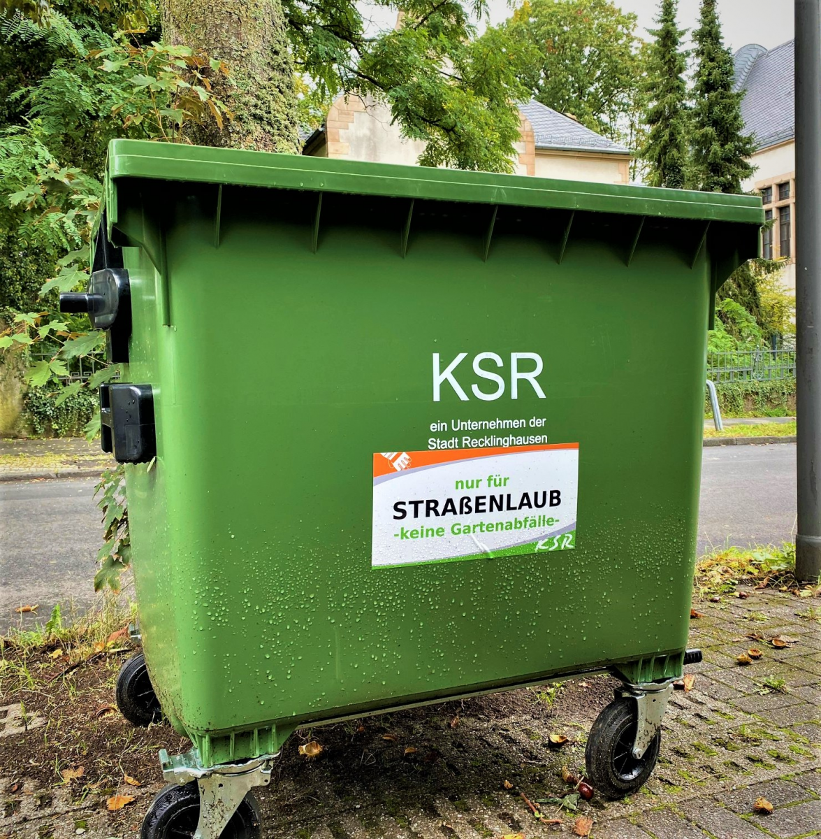 Herbstzeit ist Laubzeit – KSR stellen Tonnen für Straßenlaub auf