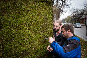 Foto Lichtgut/Achim Zweygarth, Rechte LHS