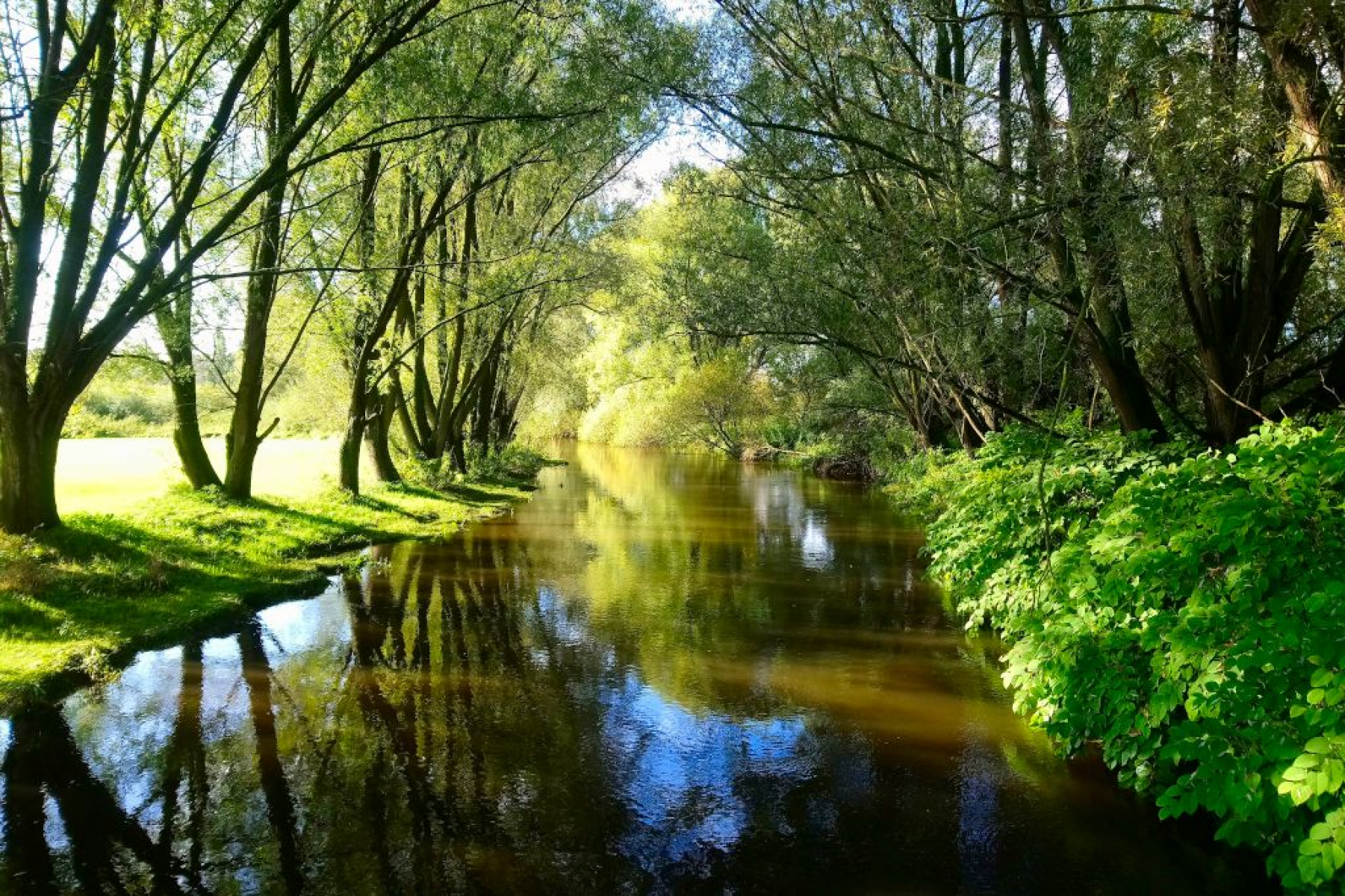 Schutzgebietsverfahren: Landkreis Harburg plant Naturschutz an der Luhe