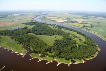 Lebendige Auen für die Elbe - Image