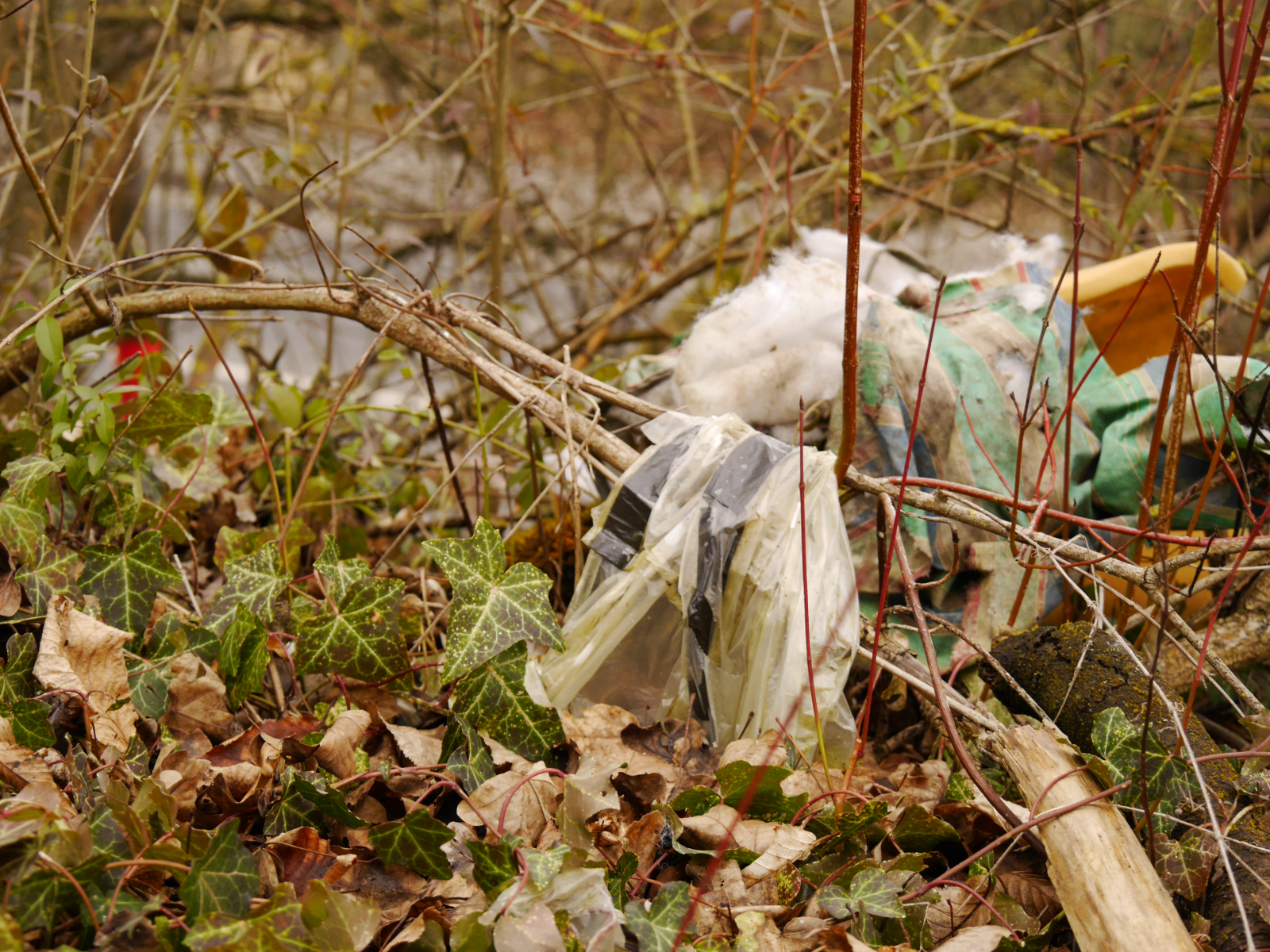 Frühjahrsputz in der Zellerau