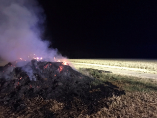 Trockenheit sorgt für mehrere Brände in Wiesbaden - Image