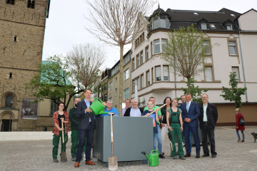 Mobile Bäume sind ein echter Hingucker und spenden Schatten - Image