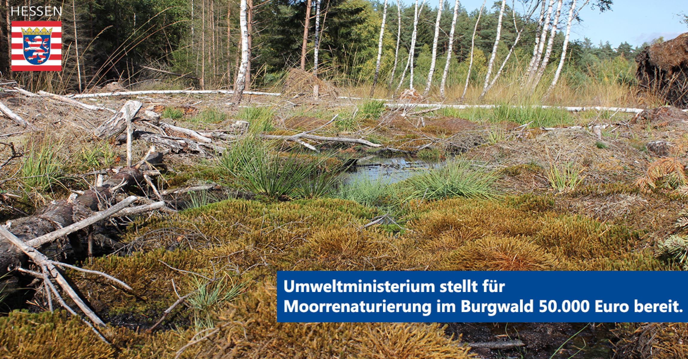 Umweltministerium stellt für Moorrenaturierung im Burgwald 50.000 Euro bereit