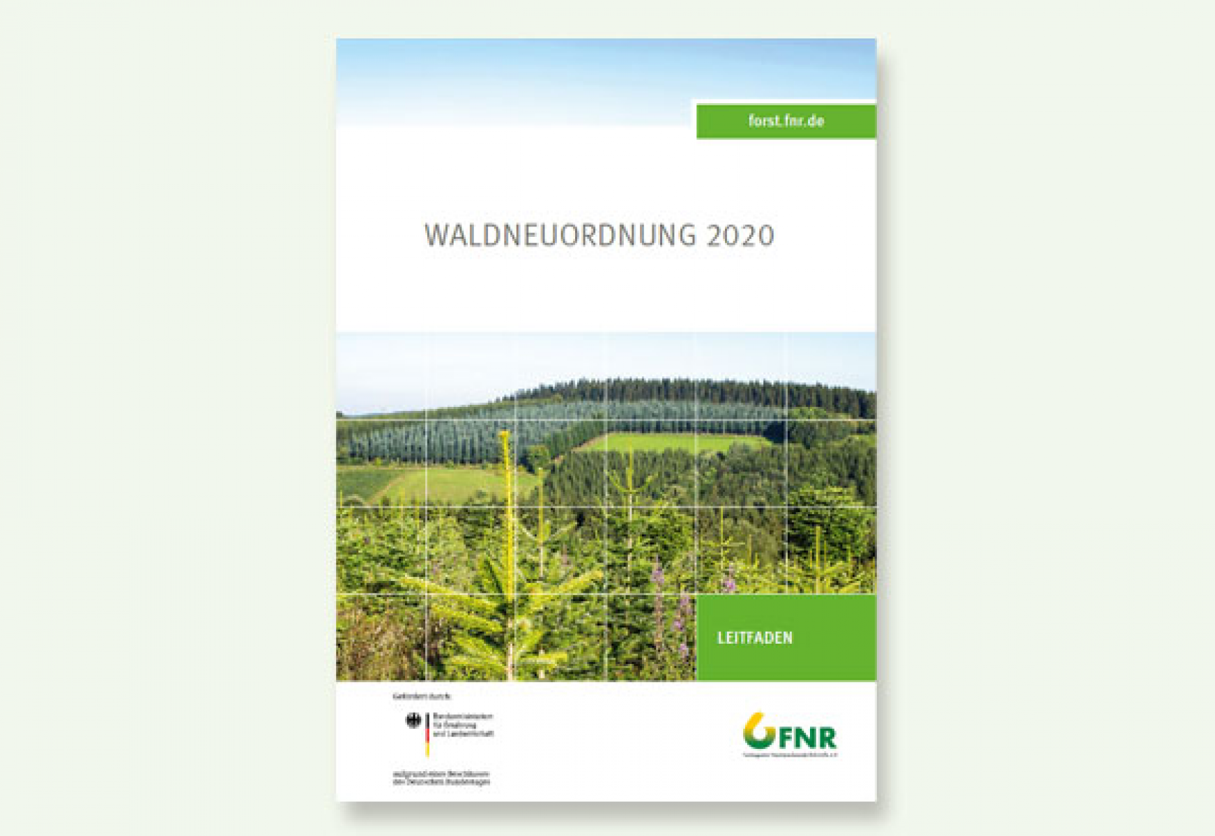 Praxisleitfaden „Waldneuordnung 2020“ erschienen