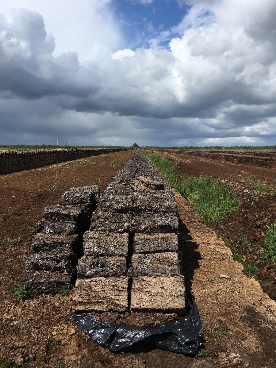 Traditionelle Torfgewinnung zerstört Moorlandschaften. Foto: Ralf Reski