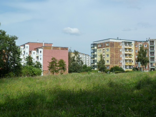 Biologische Vielfalt in Stadtregionen fördern, Lebensqualität steigern - Image