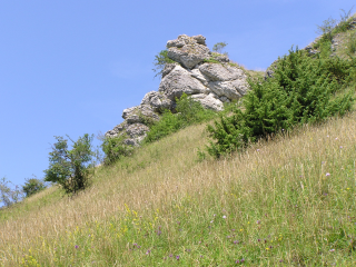 Naturschutzgebiet Spielburg und die neue Informationstafel