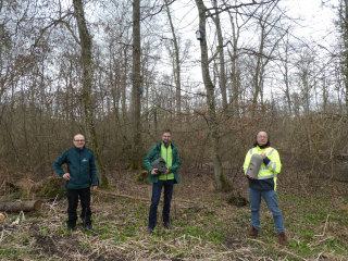 Wohnungsnot im Naturschutzgebiet „Neuershausener Mooswald“ in der March (Kreis Breisgau-Hochschwarzwald) behoben - Image