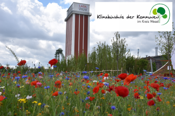 Klimabündnis der Kommunen im Kreis Wesel - Image