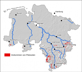 Pelosole kommen vor allem im südlichen Niedersachsen vor.                   Bildrechte: LBEG