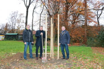 Symbolisch griffen Bürgermeister Christoph Tesche sowie die Vorsitzenden des Ausschusses für Gebäudewirtschaft, Grünflächen und Umwelt (GGU), Volker Schäper (l.) und Johannes Quinkenstein (r.) bei der Pflanzung der Esskastanie im Stadtgarten zur Schaufel.