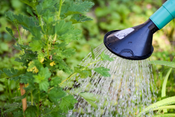 Schadstoffe belasten Trinkwasser nicht - Image