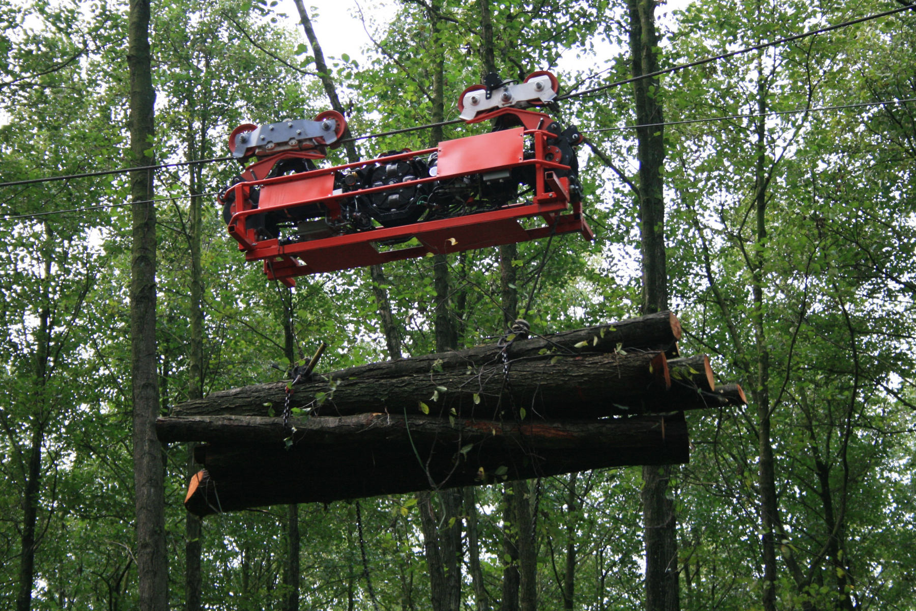 Praxistest bestanden: Holzrückeverfahren ohne Bodenkontakt