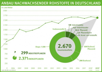 Anbau nachwachsender Rohstoffe bleibt 2019 weitgehend konstant - Image