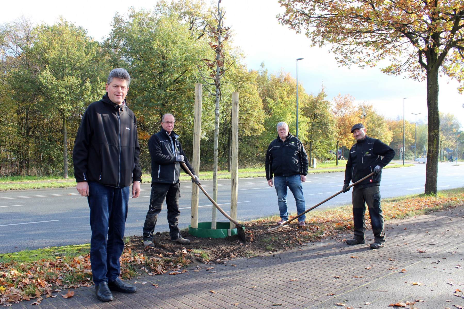 100 neue Straßenbäume in diesem Herbst