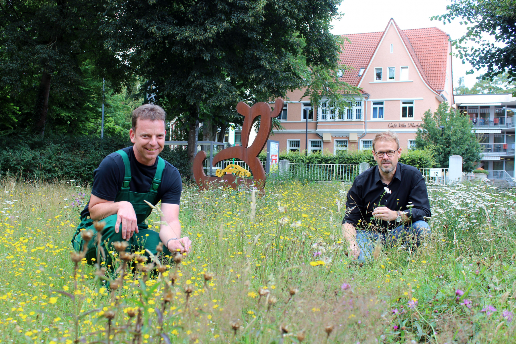 Farbenfrohe Blühwiesen als Hingucker