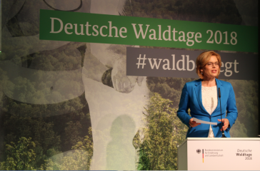 FNR: Deutsche Waldtage – 