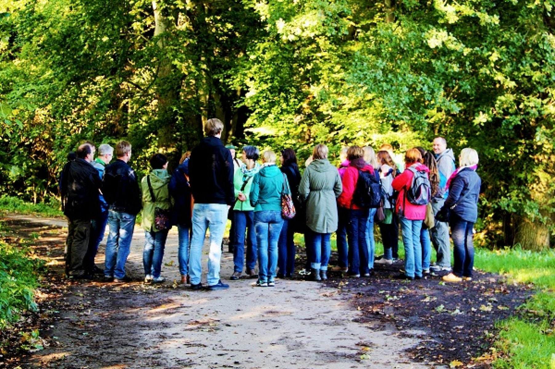 BMEL startet Förderaufruf: Waldnaturschutz und nachhaltige Waldbewirtschaftung kommunizieren