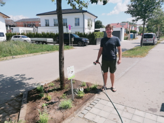 Andreas Saemer beteiligt sich am Projekt „KUNIbert“ und pflegt seine Pflanzen am Straßenrand auf einer öffentlichen Fläche. Stadt Landshut