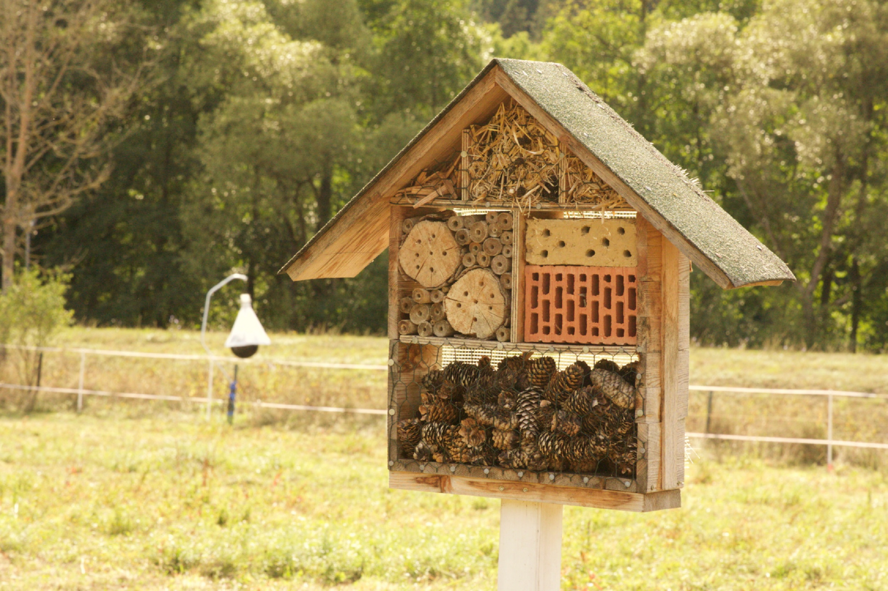 Rechts das Insektenhotel, mit einigem Abstand links davon die Bremsenfalle – ein Widerspruch in sich.     Foto: Prof. Sibylle Wenzel