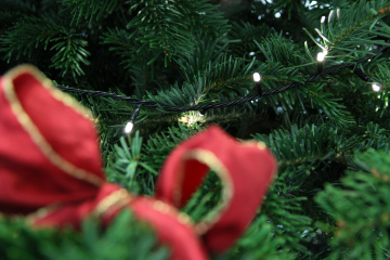 Regierungspräsidium Gießen gibt Tipps zum Thema Weihnachtsbeleuchtung - Image