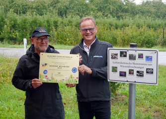 Ortenaukreis gewinnt Goldene Wildbiene - Image