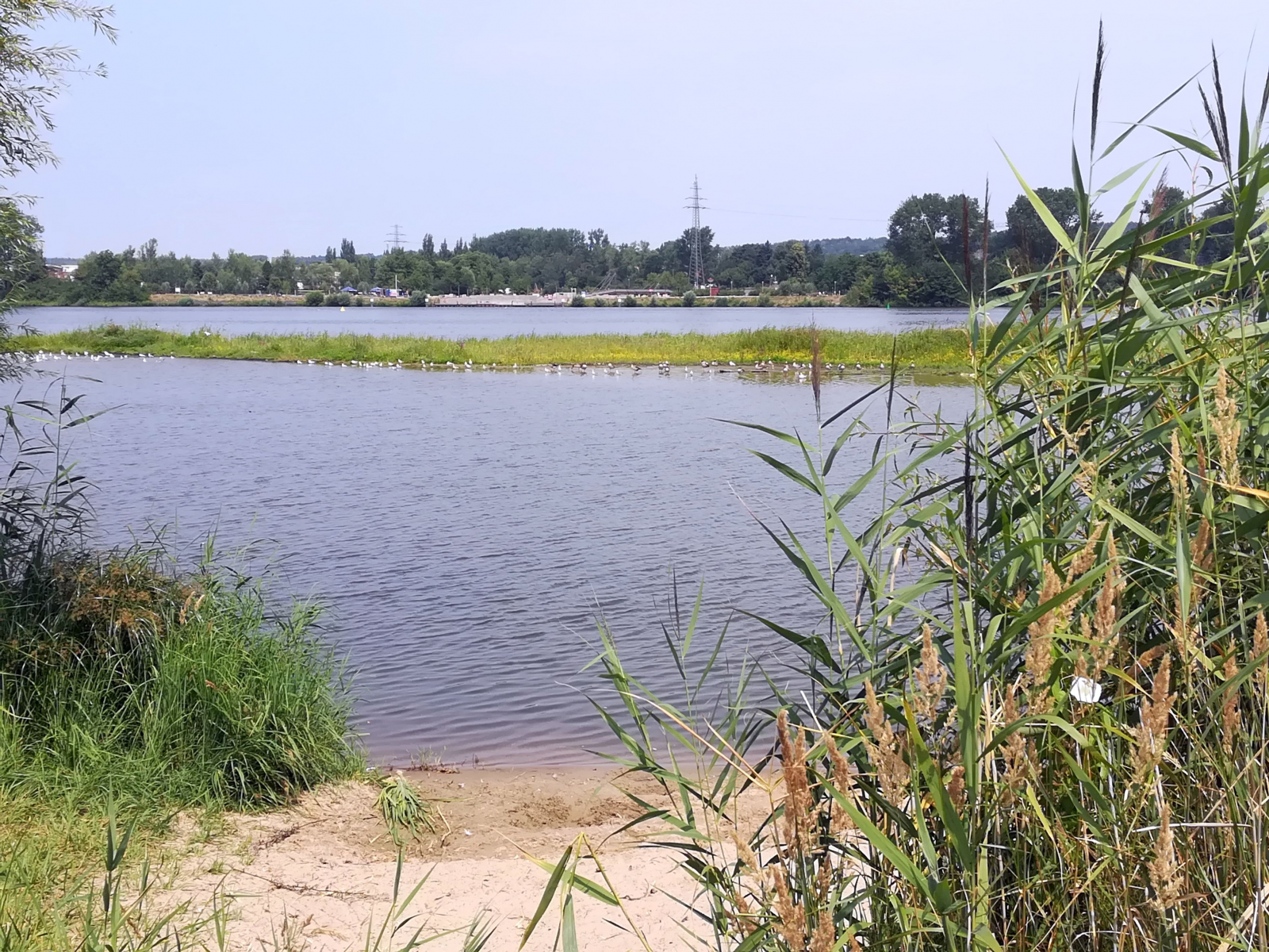 LK  Harburg: Geplante Naturschutzgebiete „Elbeniederung“ und „Tideelbe“