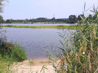 LK  Harburg: Geplante Naturschutzgebiete „Elbeniederung“ und „Tideelbe“ - Image