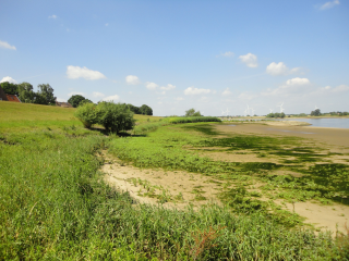 LK  Harburg: Geplante Naturschutzgebiete „Elbeniederung“ und „Tideelbe“