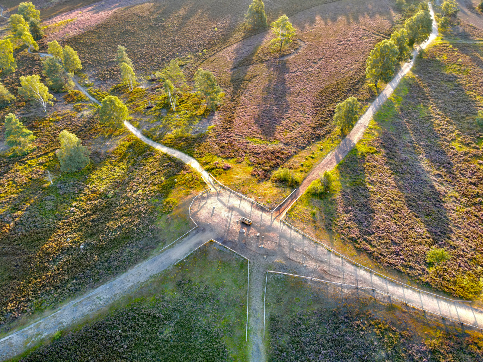 Naturschutz zum Anfassen beim Naturerbetag am Brunsberg