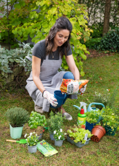 Endlich Frühling: Tipps zum Start in die Gartensaison - Image