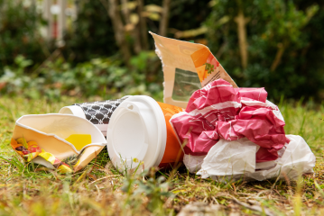 Sommer im Park: Schöner ohne Abfall - Image