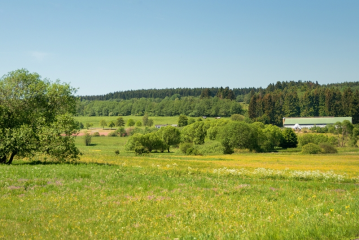 Vogelschutzgebiet bei Burbach und Neunkirchen - Image