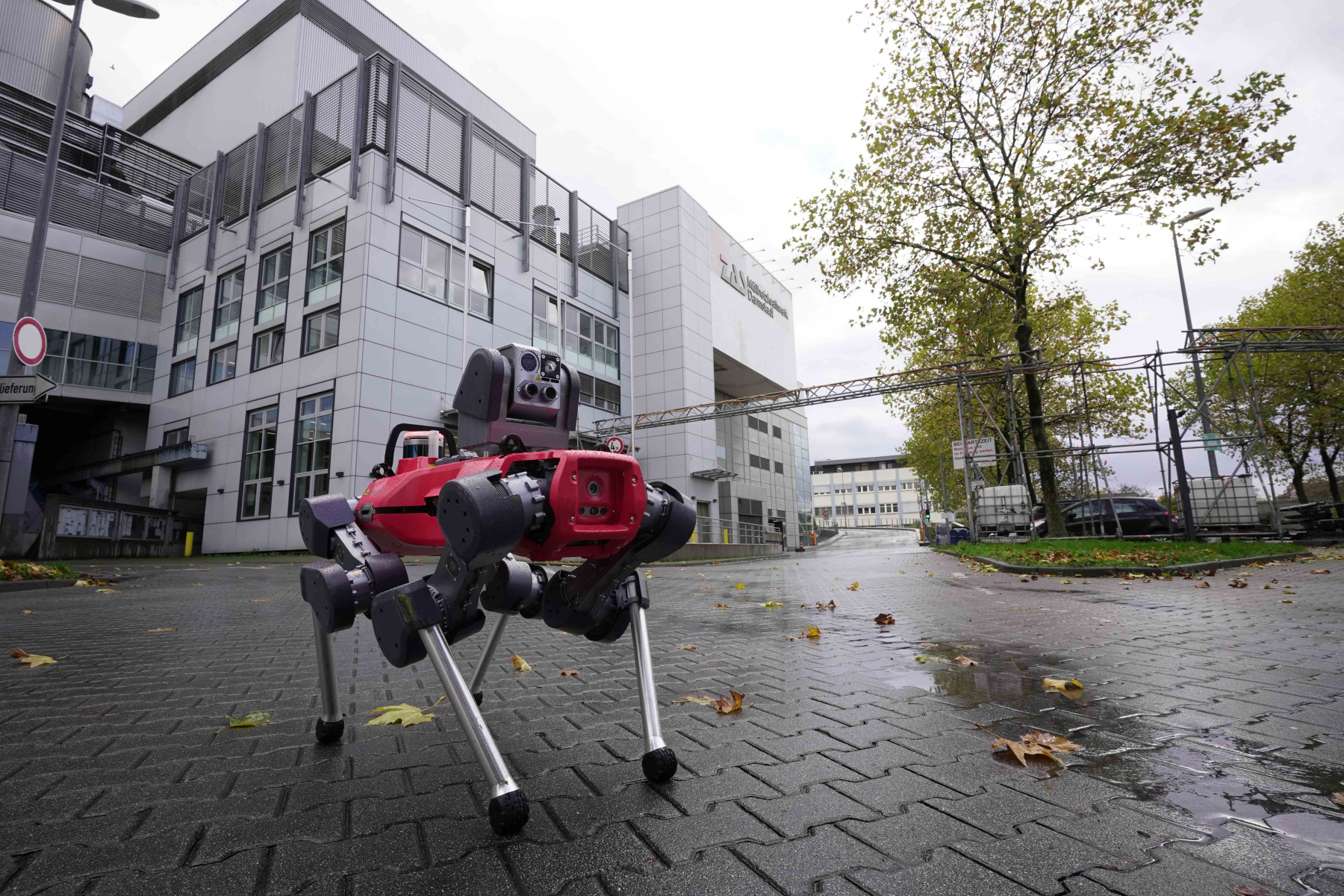 Der Robodog auf dem Weg zur Arbeit.