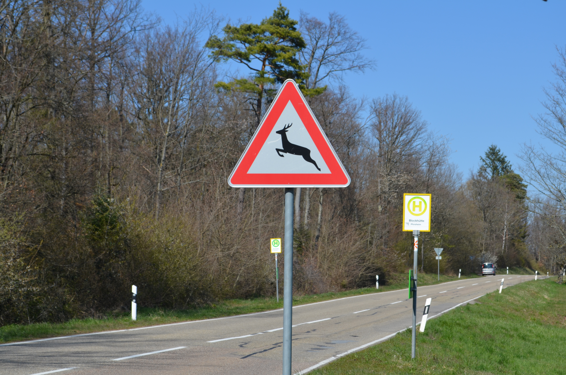 Ein Reh oder eine Wildsau kommt selten allein 