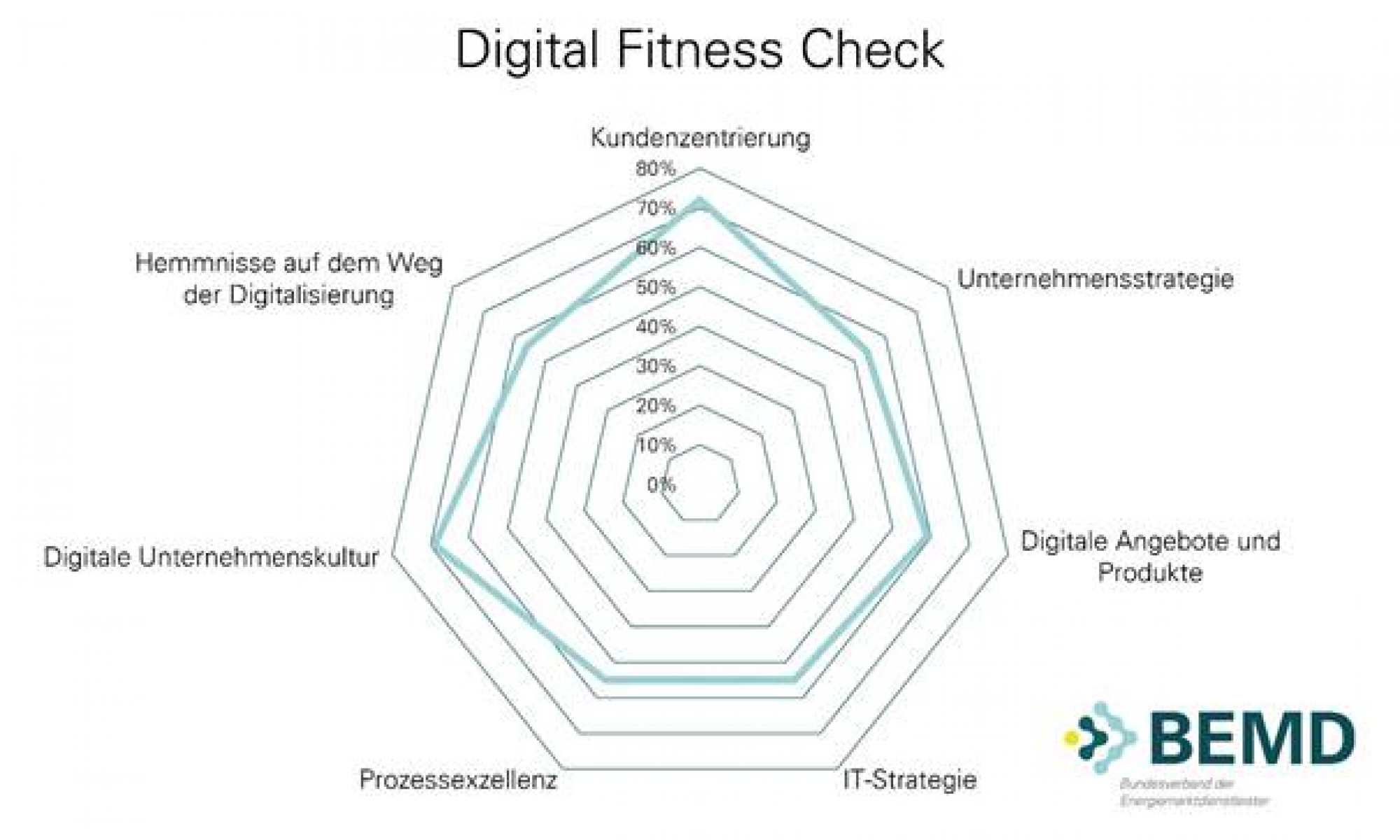 Abbildung 1: Ergebnis des Digital Fitness Check eines Referenzkunden