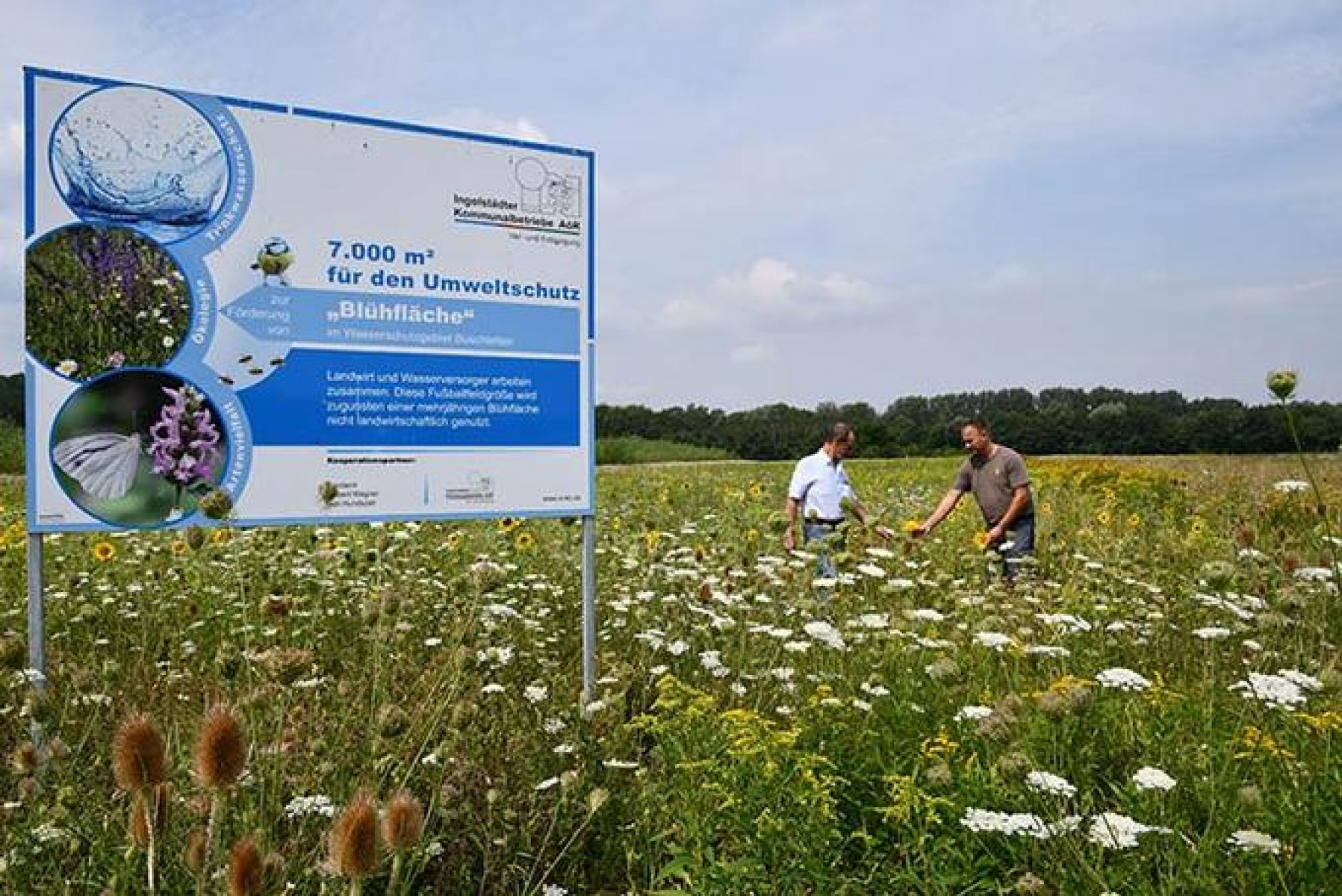 7.000 Quadratmeter für den Natur- und Landschaftsschutz