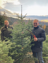 Christbaumschlagen mit Landrat Frank Scherer bei regionalem Erzeuger in Lahr - Image