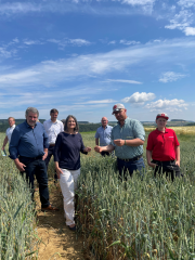 „Tag der Landwirtschaft“ auf dem Lauterbach-Hof in Tengen: Landwirt Stefan Leichenauer (2. v. r.) zeigt Regierungspräsidentin Bärbel Schäfer und den anderen Gästen ein Weizenfeld, das er mechanisch bearbeitet hat statt Pflanzenschutzmittel einzusetzen. Fo