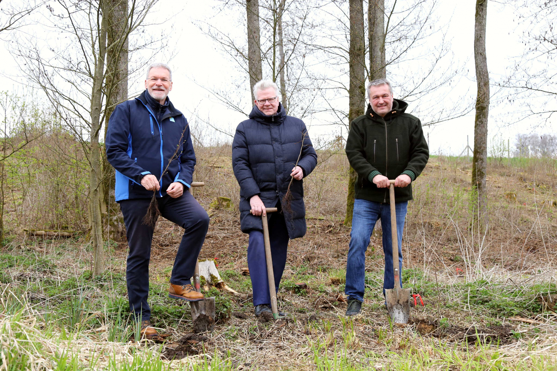 Pflanzaktion: Stadtwerke lassen Auenwald zurückkehren