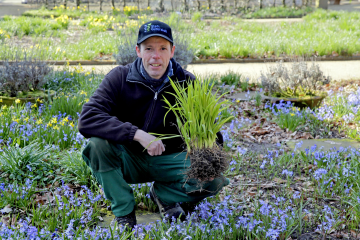 ﻿Staudentauschbörse im Botanischen Garten Gütersloh - Image