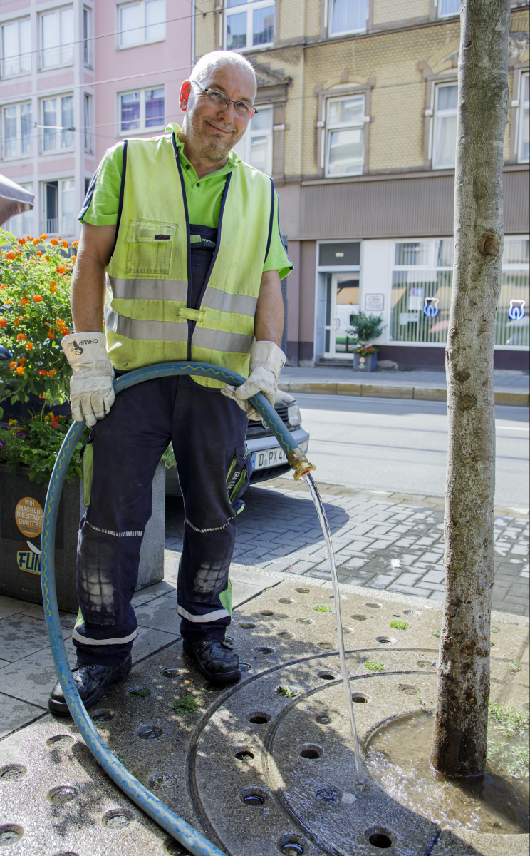 Hitzewelle: Stadtwerker gießen Jungbäume